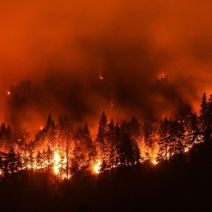 Photo of Fire Loss Response