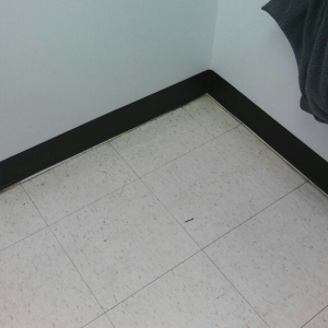 Photo of Handyman Services