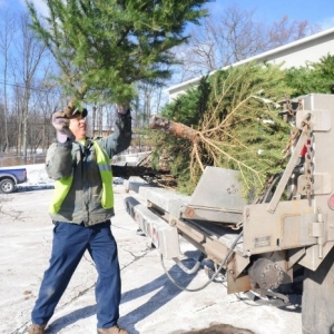 Photo of Big Dawgs Demolition & Dumpster Rental Company