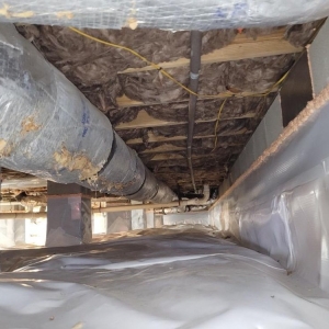 Photo of Dragon Insulation