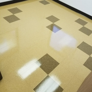 Photo of Elite Carpet Cleaning & Restoration Services