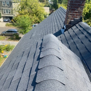 Beaverton Performance Roof Care