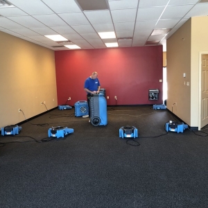Photo of Murphree Restoration Services