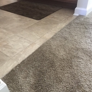 Photo of Honest Abe Carpet and Upholstery Care