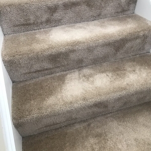 Photo of Honest Abe Carpet and Upholstery Care
