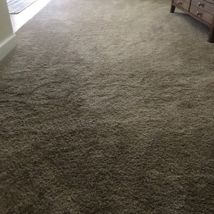 Photo of Honest Abe Carpet and Upholstery Care