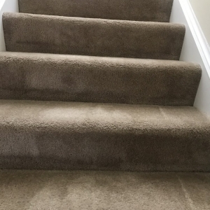 Photo of Honest Abe Carpet and Upholstery Care
