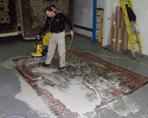 Photo of Ziegler Preservation Cleaning Specialists