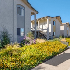 Photo of Mesa Village Apartments