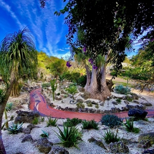 Photo of Pinecrest Gardens