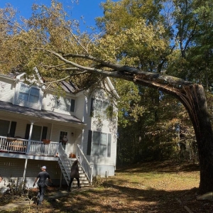 Photo of Vilchis Tree Care of Fairburn