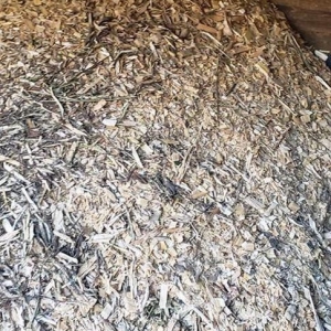 Photo of Vilchis Tree Care of Fairburn