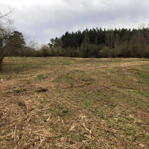 Photo of TMT Land Management