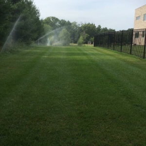 Photo of Iowa Lawn & Landscape