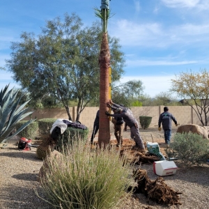 Phoenix Power Green Landscaping
