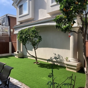 Photo of Stay Green Turf