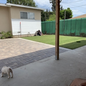 Photo of Stay Green Turf