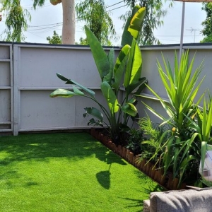 Photo of Stay Green Turf