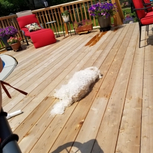 Photo of Bob Jaacks Rustic Wood Fencing & Decks