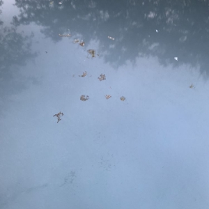 Photo of Autobell Car Wash