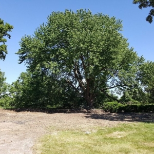 Photo of Eagle Biomass