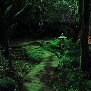 Photo of Ambient Illuminations