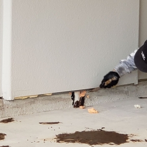 Photo of Diamond Cut Garage Floors
