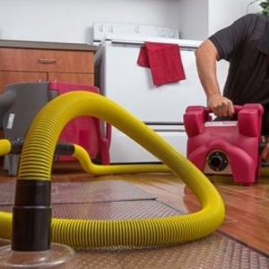 Photo of PuroClean Restoration Specialists