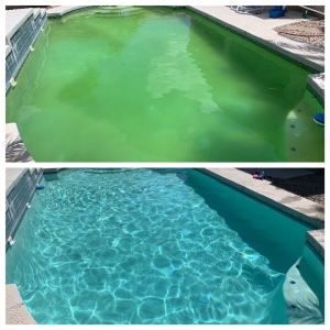 Maricopa Pool Marshall