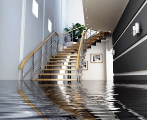 Photo of Jenkins Carpet Cleaning, Inc