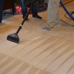 Photo of Jenkins Carpet Cleaning, Inc