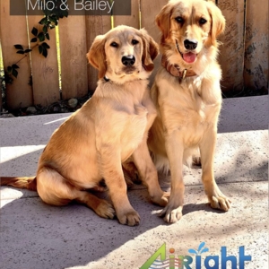 Photo of AiRight Cooling, Heating & Plumbing