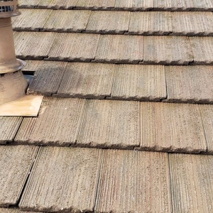 Laguna Beach Viper Cleaning Solutions