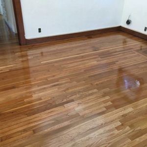 Photo of The Wooden Floor