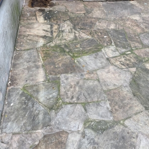 Photo of Fresh Pressure Washing