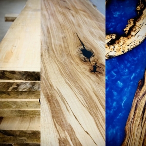 Photo of Urban Forest Designs