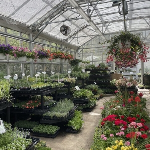 Photo of Green Fields Nursery & Landscaping Company