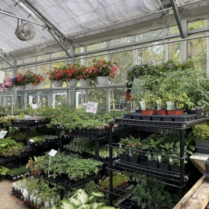 Photo of Green Fields Nursery & Landscaping Company