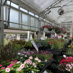 Photo of Green Fields Nursery & Landscaping Company