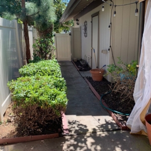 Photo of Jimenez Landscaping