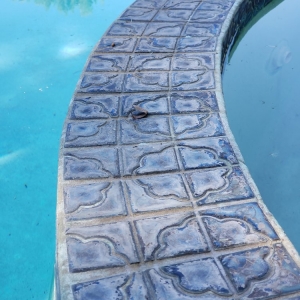 Photo of Diamond Pool and Spa Service