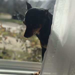 Photo of SPARK