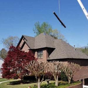 Photo of Myers Tree Service