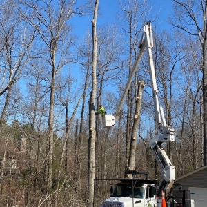 Photo of Myers Tree Service