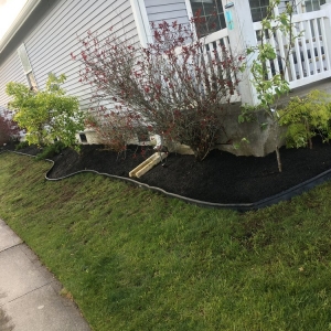 Seattle Puget A&T Landscaping
