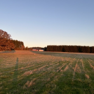 Photo of Pleasant Pond Farm