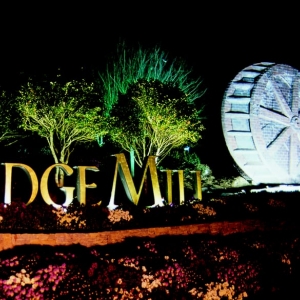 Photo of Southern Nights Illuminations