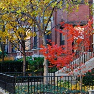 Photo of Town Center Realty
