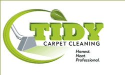 Photo of Tidy Green Carpet Cleaning