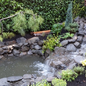 Photo of Serenity Landscapes